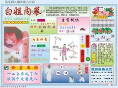 白小姐内幕A