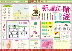 新濠江赌经A