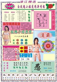 濠江精选B
